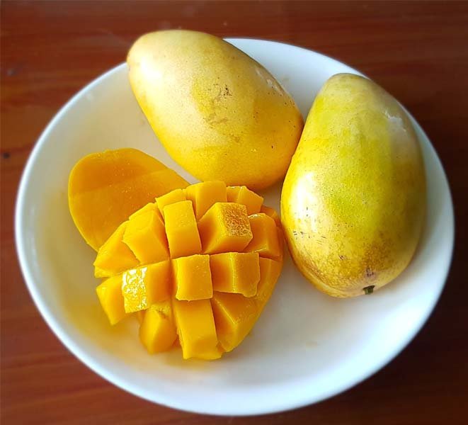 Can Mango increase blood sugar